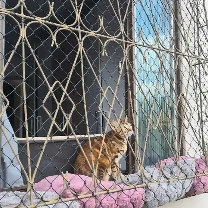 Portão de segurança para crianças em Porto Alegre