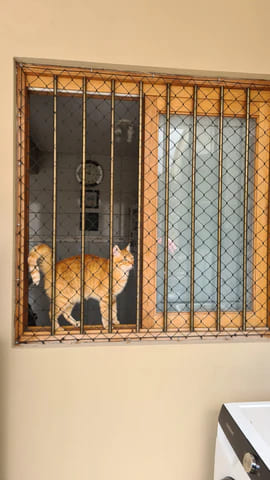 Rede de proteção para gatos, imagem 4
